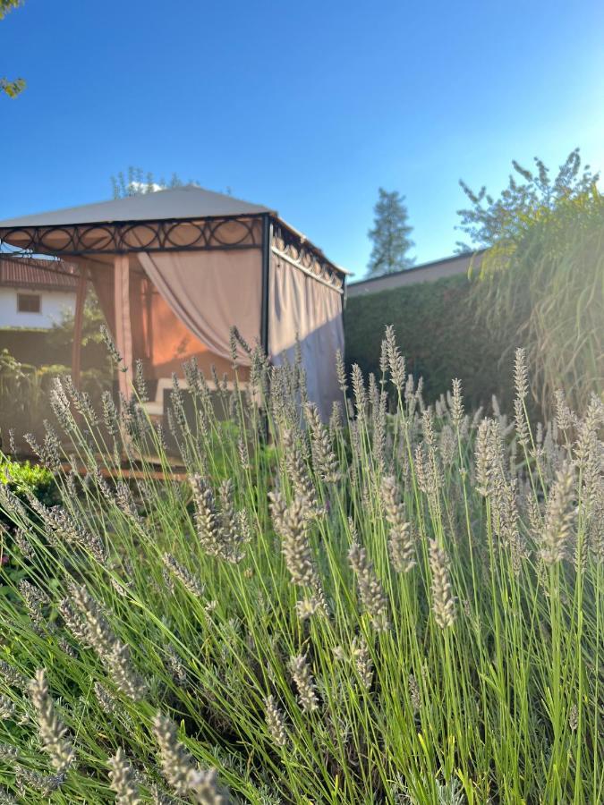 Grosses Mit Terrasse Und Garten Apartment Oberhaching